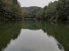 -青龙山国家森林公园