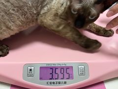 -全心全意动物诊疗中心医院(北苑店)