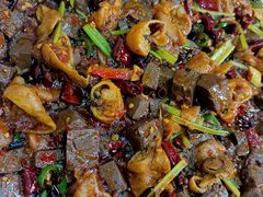 -后卫寨猫耳朵(后卫寨店)