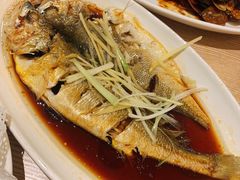 清蒸大黄花鱼-渔家颂歌渔家味道(青石路店)