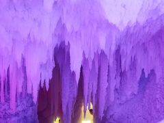 -芦芽山旅游度假区