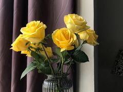 -Awfully Chocolate(来福士广场店)