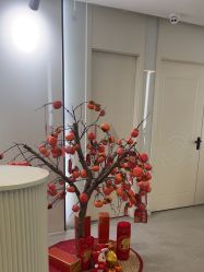 -SKIN79皮肤管理中心