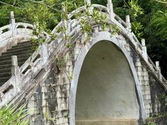 -深圳仙湖植物园