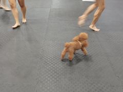 -FIGHTMAN格斗俱乐部(长宁临空店)