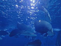 -多彩贵州城极地海洋世界