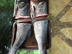 -荣德灶台鱼(圣泉寺店)