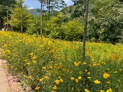 -宜兴龙背山森林公园