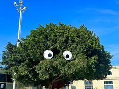 -巨鹏飞梦幻海岸