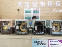 -天宠宠物医院24小时·急重症诊疗中心·全科·腔镜特色(和平分院)
