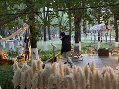 -长白岛森林公园