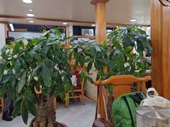 -真利味·脊骨火锅·正宗韩国料理(韩乐坊店)