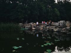 -云岗森林公园