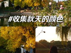 -石家庄市植物园