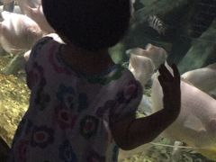 -苏州海洋馆