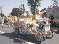 -荷兰花海