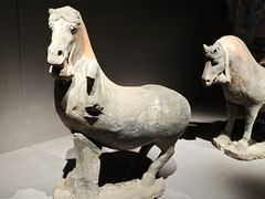 -大同市博物馆