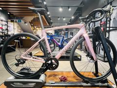 -SPECIALIZED闪电自行车(北苑路店)