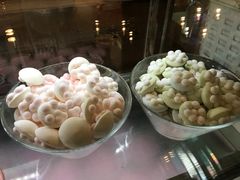 -猫咪博物馆(顶澳仔猫街店)