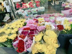 -溪岸路花鸟市场