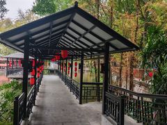 -侨美·唐荔园·40年地道粤菜