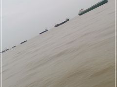 -滨江公园-停车场