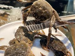 -苏格里岛自助烤肉海鲜火锅(成都金牛万达店)