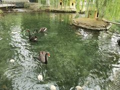 -水磨沟公园