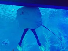 -常州海昌海洋探索馆