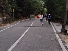 -梧桐山风景名胜区