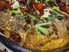-老板恋上鱼(高新万达店)