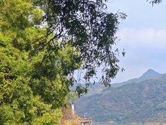 -羚羊峡古栈道森林公园