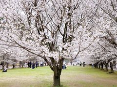 -同济大学(嘉定校区)