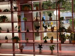 -二酉书店TOYOU BOOKS