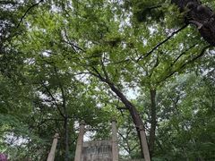 -南山风景名胜区