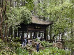 -东湖落雁景区