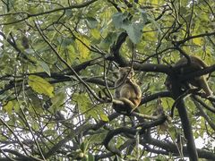 -重庆雨台山风景区