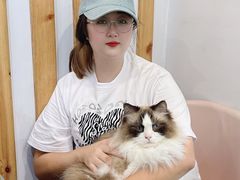 -青奢宠物·青奢猫舍