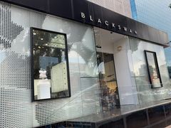 -BLACKSWAN黑天鹅(环球店)