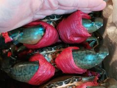 -青石桥市场北1-27号