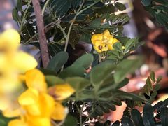 -LYFATTI 莱芙缇(赣水路店)