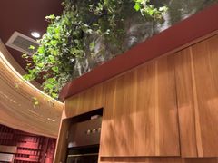 -巴奴毛肚火锅(龙湖锦艺城店)