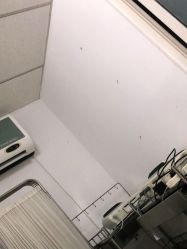 -大连市妇女儿童医疗中心集团(春柳妇产院区)