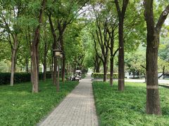 -木塔寺遗址生态公园