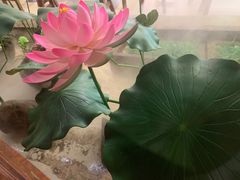 -老宁波1381餐厅(宏泰广场店)