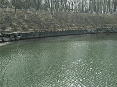 -大兴滨河森林公园