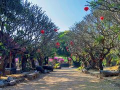-云南勐巴娜西珍奇园