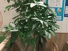 -德克士(中心医院店)