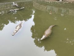-南宁市动物园