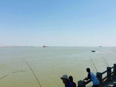 -大湾区中央湿地公园-十九涌